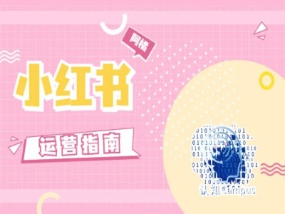 小红书运营指南，没有套路，全是经验-创薯资源
