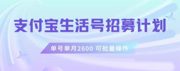 支付宝生活号作者招募计划，单号单月2600，可批量去做，工作室一人一个月轻松1w+【揭秘】-创薯资源