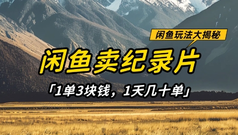 闲鱼卖纪录片1单3块钱，1天几十单，项目稳定有潜力-创薯资源
