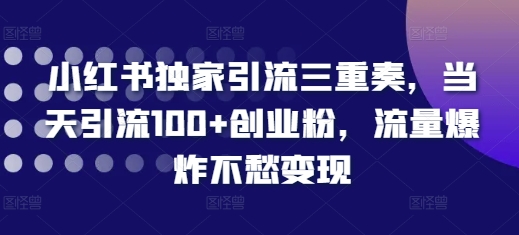 小红书独家引流三重奏，当天引流100+创业粉，流量爆炸不愁变现【揭秘】-创薯资源