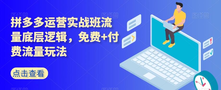 拼多多运营实战班流量底层逻辑，免费+付费流量玩法-创薯资源