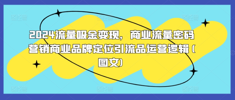 2024流量吸金变现，商业流量密码营销商业品牌定位引流品运营逻辑(图文)-创薯资源