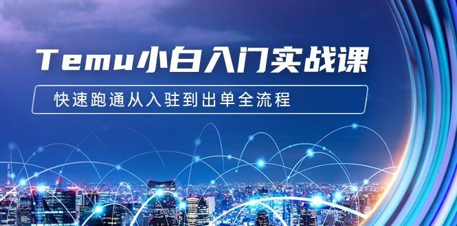 (9295期)Temu小白入门实战课：跨境拼多多电商培训 快速跑通从入驻到出单全流程-12节-创薯资源