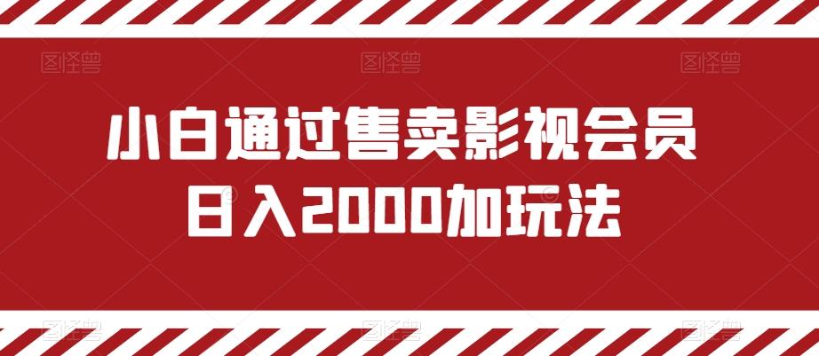 小白通过售卖影视会员日入2000加玩法-创薯资源