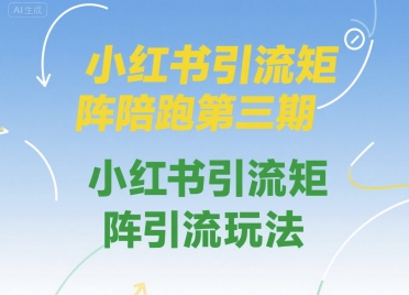 小红书引流矩阵陪跑第三期，小红书引流矩阵引流玩法-创薯资源