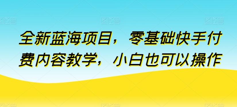 全新蓝海项目，零基础快手付费内容教学，小白也可以操作【揭秘】-创薯资源