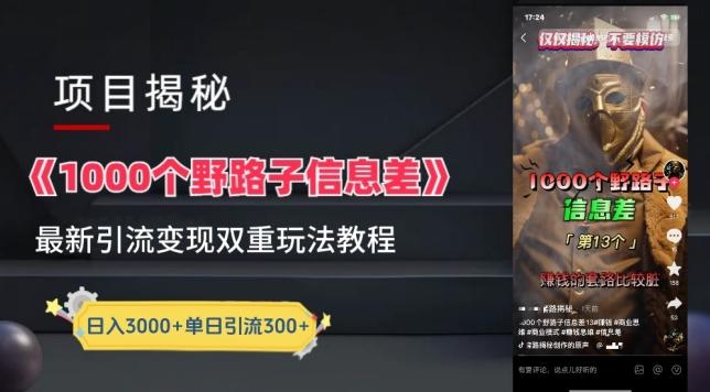 一千个野路子信息差最新玩法教程-变现+引流的玩法具体拆解【揭秘】-创薯资源