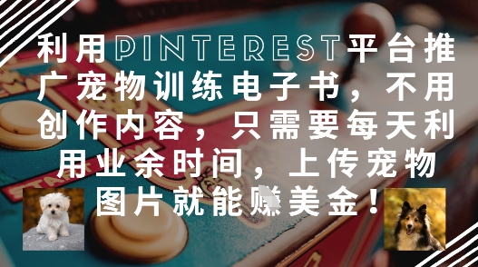 利用Pinterest平台推广宠物训练电子书，不用创作内容，只需要每天利用业余时间，上传宠物图片就能挣美金!-创薯资源
