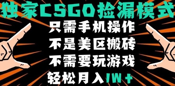 CSGO自动捡漏项目，最新独家玩法，不是美区搬砖，不需要了解和玩游戏，新手小白轻松月入1W+【揭秘】-创薯资源