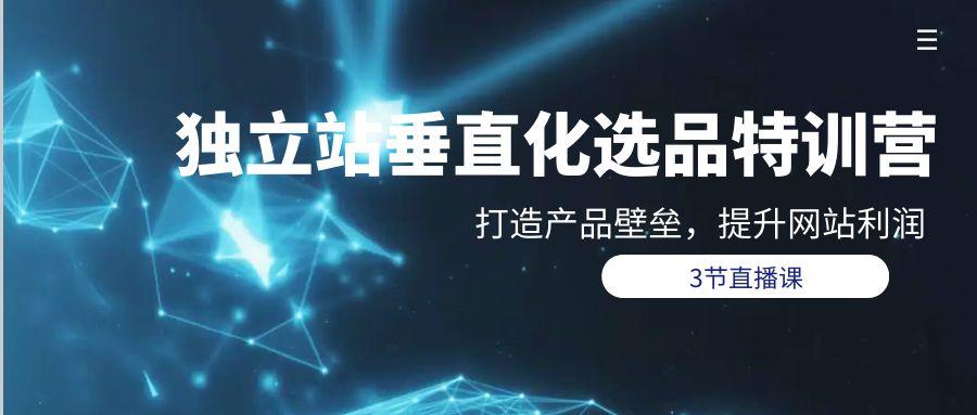 (9925期)独立站-垂直化选品训练营，打造产品壁垒，提升网站利润(3节直播课)-创薯资源