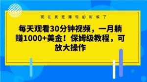每天观看30分钟视频，一月躺赚1000+美金！保姆级教程，可放大操作【揭秘】-创薯资源