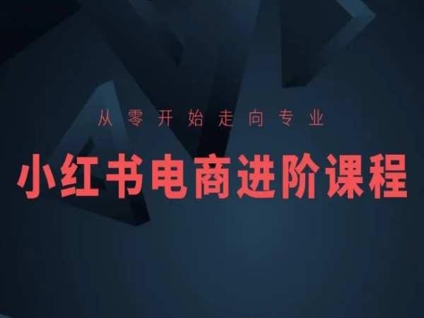 从零开始走向专业，小红书电商进阶课程-创薯资源