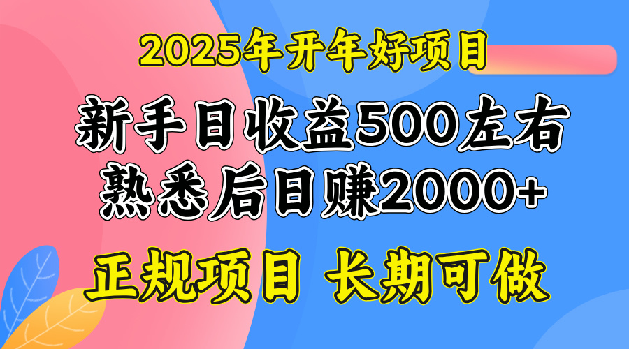 2025开年好项目，单号日收益2000左右-创薯资源