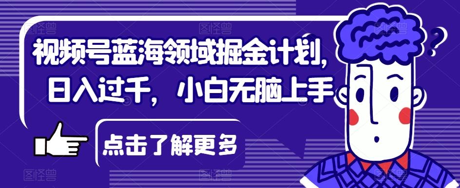 视频号蓝海领域掘金计划，日入过千，小白无脑上手【揭秘】-创薯资源