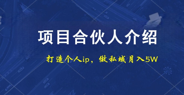 项目合伙人项目，打造个人IP，做私域月入5W，小白勿扰-创薯资源