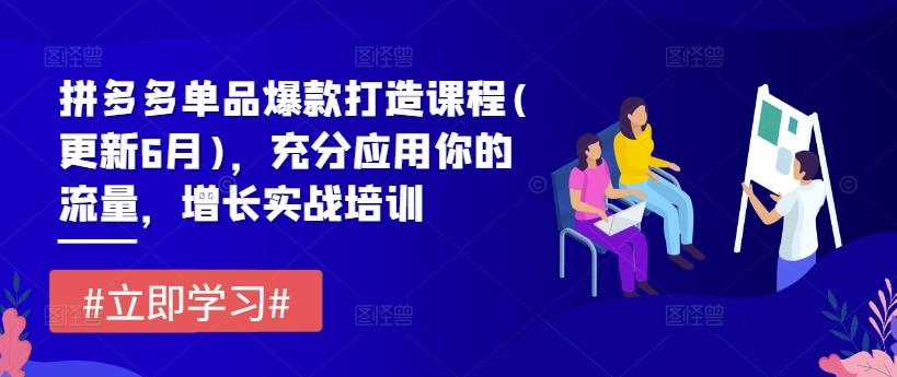 拼多多单品爆款打造课程(更新6月)，充分应用你的流量，增长实战培训-创薯资源