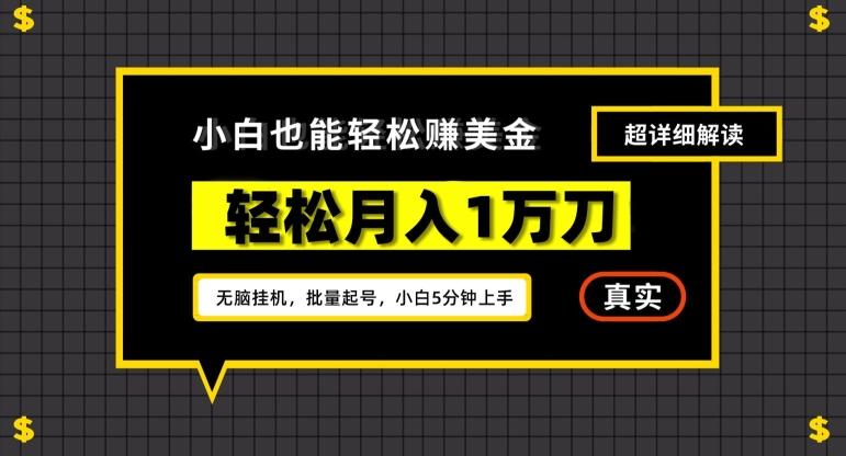 谷歌看广告撸美金2.0，无脑挂机，多号操作，月入1万刀【揭秘】-创薯资源