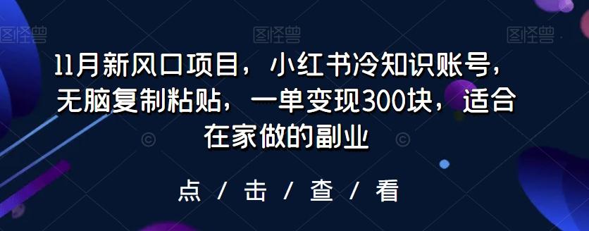 11月新风口项目，小红书冷知识账号，无脑复制粘贴，一单变现300块，适合在家做的副业-创薯资源