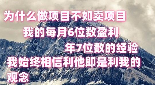 做项目不如卖项目，每月6位数盈利，年7位数经验-创薯资源