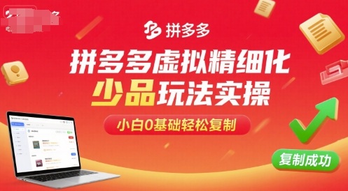拼多多虚拟精细化少品玩法实操，小白0基础轻松复制-创薯资源