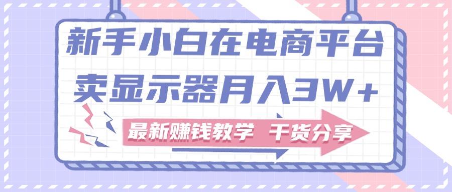 新手小白如何做到在电商平台卖显示器月入3W+，最新赚钱教学干货分享-创薯资源