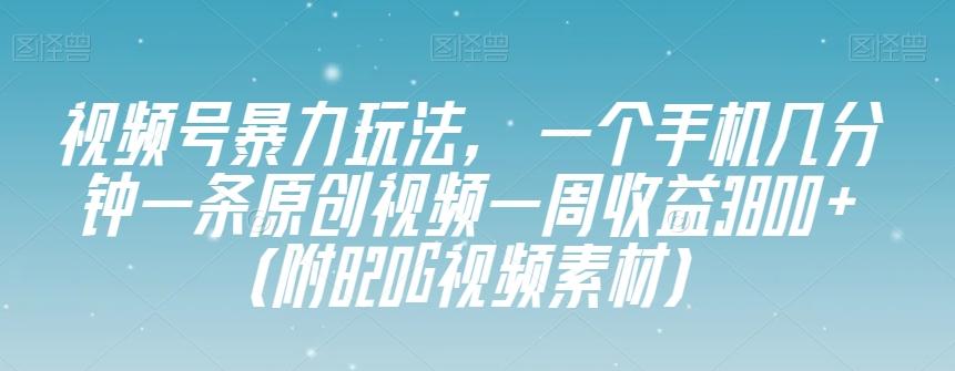 视频号暴力玩法，一个手机几分钟一条原创视频一周收益3800+（附820G视频素材）-创薯资源