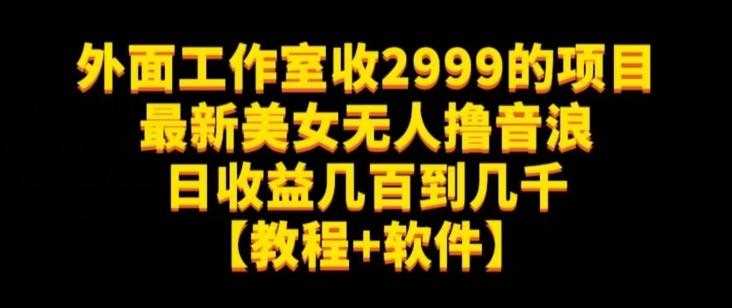 外面工作室收2999的项目最新美女无人撸音浪日收益几百到几千【教程+软件】（仅揭秘）-创薯资源