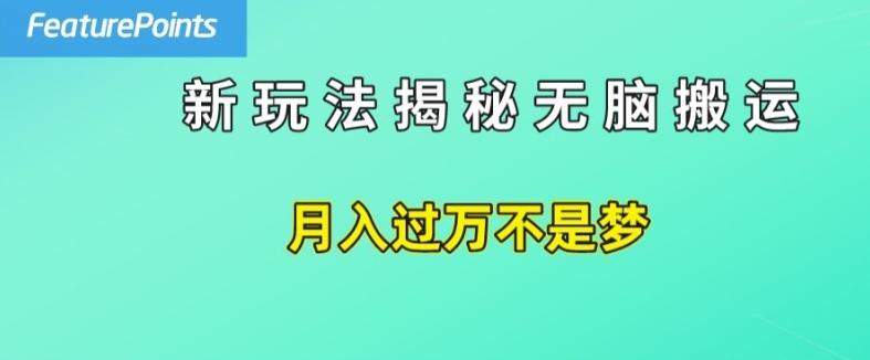 简单操作，每天50美元收入，搬运就是赚钱的秘诀【揭秘】-创薯资源