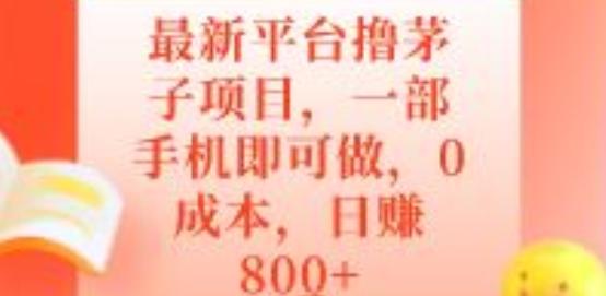 最新平台撸茅子项目，一部手机即可做，0成本，日赚800+-创薯资源