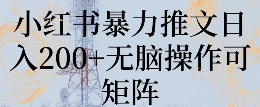 小红书暴力推文日入200+无脑操作可矩阵【揭秘】-创薯资源