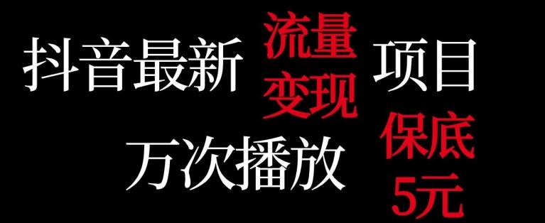 抖音流量变现，万次播放保底5元，额外收入-创薯资源