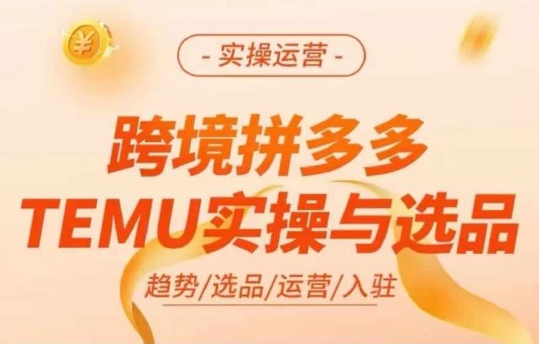 跨境拼多多TEMU实操与选品，多多temu跨境选品运营实操-创薯资源