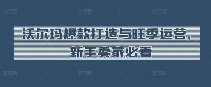 沃尔玛爆款打造与旺季运营，新手卖家必看-创薯资源