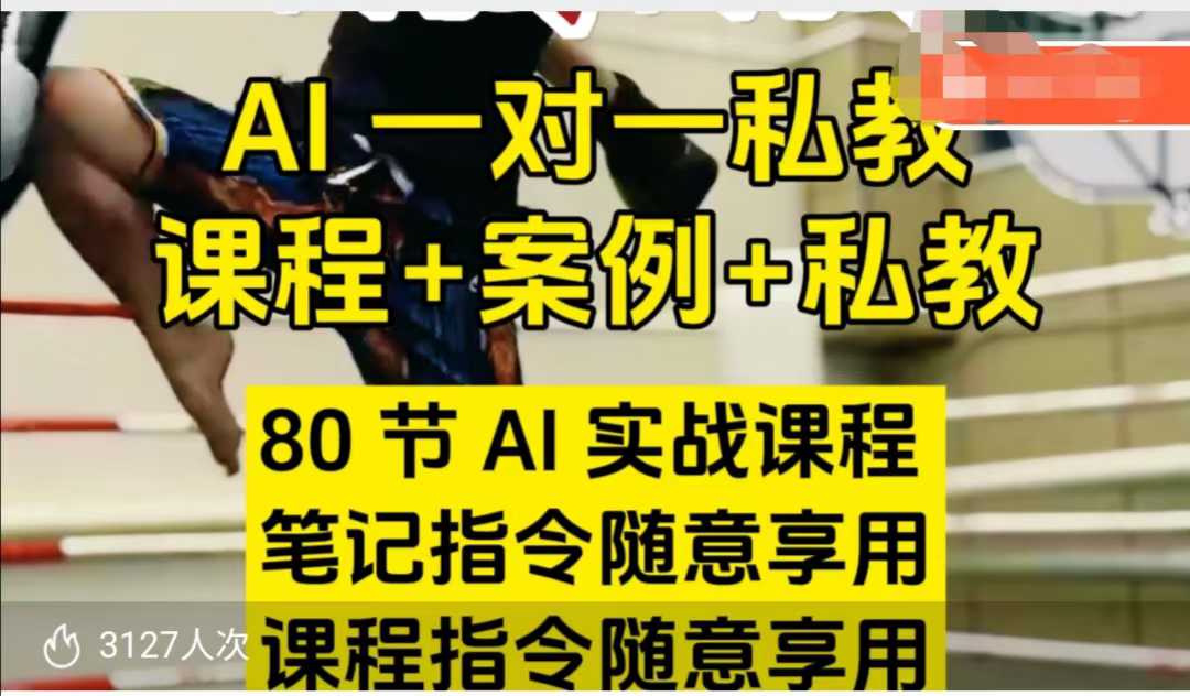 AI指令实战课，课程+案例，80节AI实战课程，笔记指令随意享用，课程指令随意享用(更新7月)-创薯资源