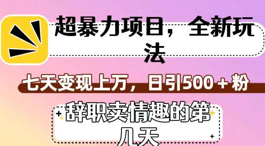 超暴利项目，全新玩法（辞职卖情趣的第几天），七天变现上万，日引500+粉【揭秘】-创薯资源