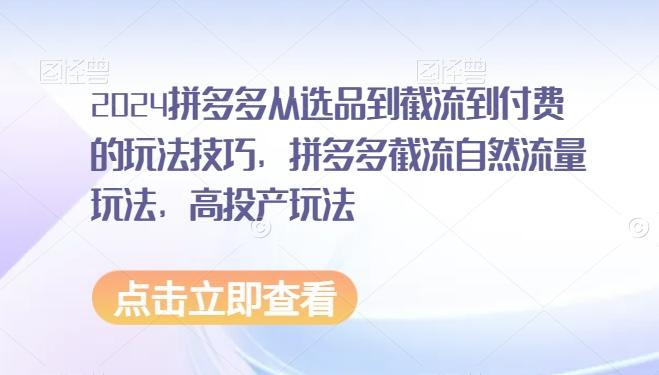 2024拼多多从选品到截流到付费的玩法技巧，拼多多截流自然流量玩法，高投产玩法-创薯资源