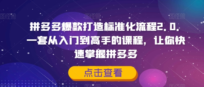 拼多多爆款打造标准化流程2.0，一套从入门到高手的课程，让你快速掌握拼多多-创薯资源