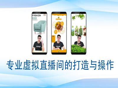 个人虚拟直播间的搭建与操作，专业虚拟直播间的打造与操作-创薯资源