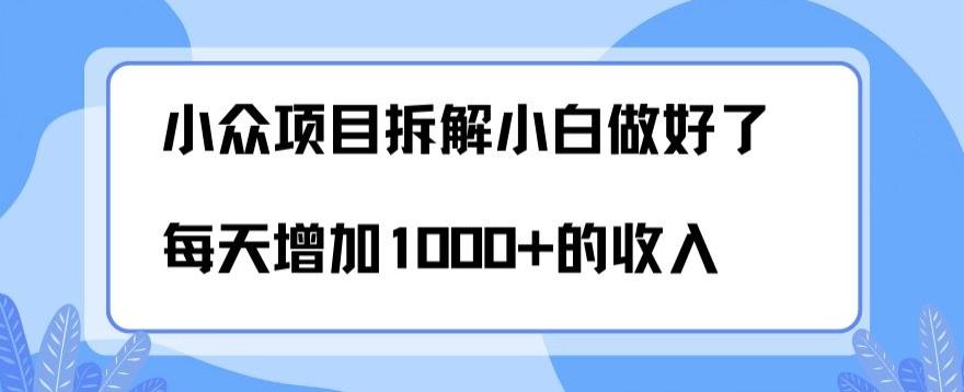 小众项目拆解，小白做好了每天可增加1000多的收入-创薯资源