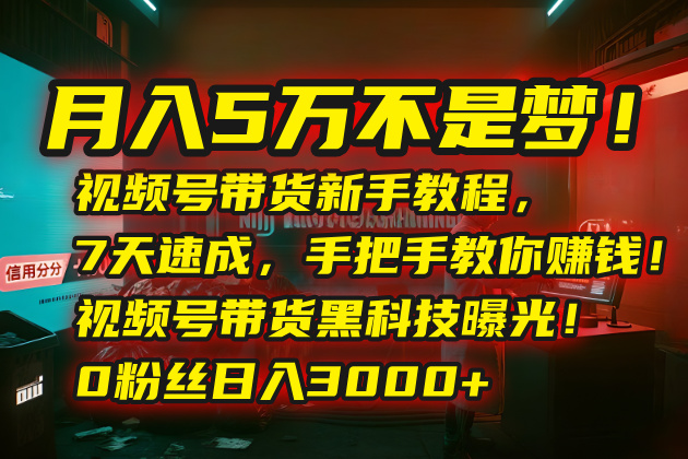 月入5万不是梦！视频号带货新手教程，7天速成，手把手教你赚钱！视频号…-创薯资源