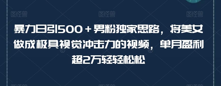 暴力日引500＋男粉独家思路，将美女做成极具视觉冲击力的视频，单月盈利超2万轻轻松松-创薯资源