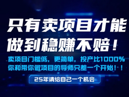 只有卖项目才能做到稳挣不赔，门槛低，更简单，你也可以年入百个W【揭秘】-创薯资源