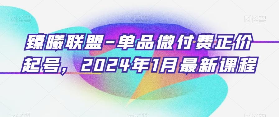 臻曦联盟-单品微付费正价起号，2024年1月最新课程-创薯资源