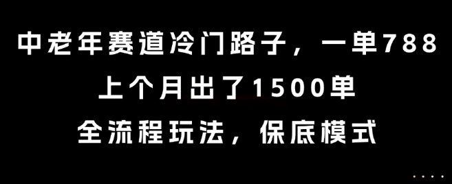 中老年赛道冷门路子，一单788，上个月出了1500单，全流程玩法，保底模式【揭秘】-创薯资源