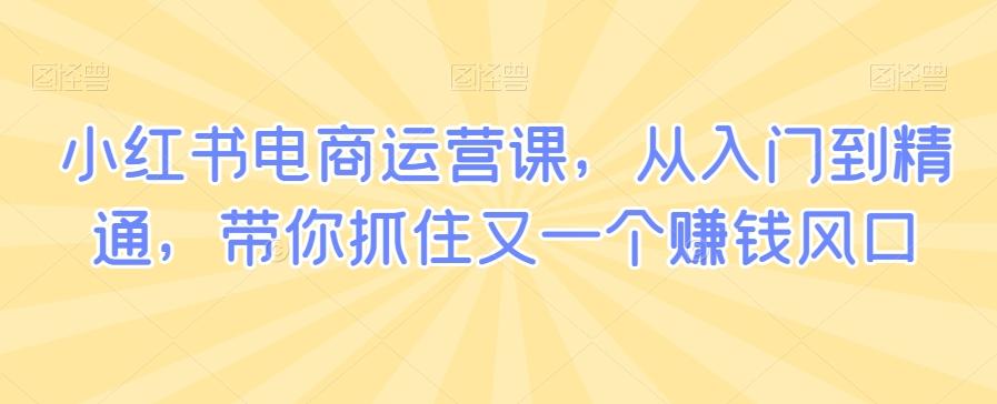 小红书电商运营课，从入门到精通，带你抓住又一个赚钱风口-创薯资源