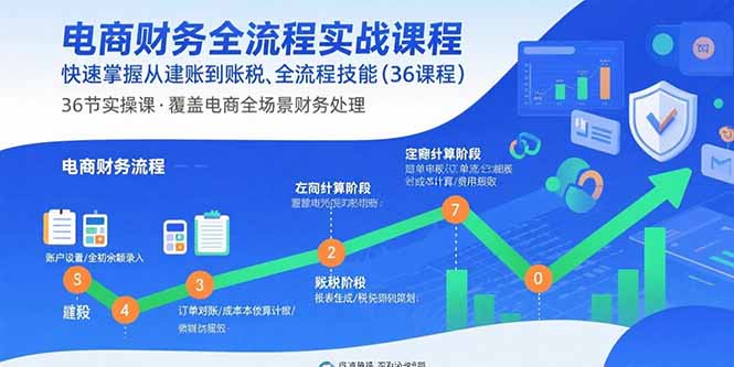电商财务全流程实战课程：快速掌握从建账到报税的全流程技能(36节课-创薯资源