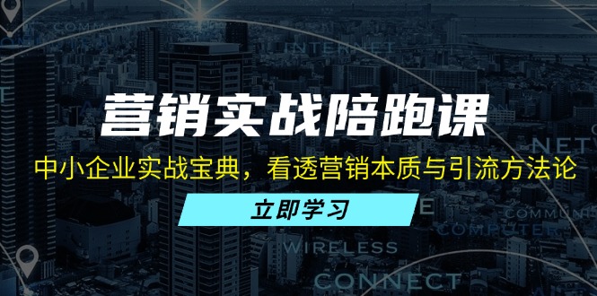 营销实战陪跑课：中小企业实战宝典，看透营销本质与引流方法论-创薯资源