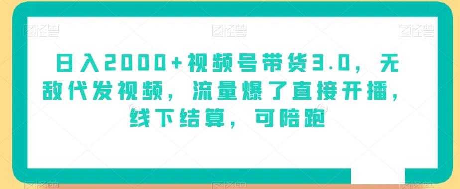 日入2000+视频号带货3.0，无敌代发视频，流量爆了直接开播，线下结算，可陪跑-创薯资源