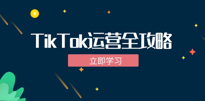 TikTok实战运营全攻略：从下载软件到变现，抖音海外版实操教程-创薯资源