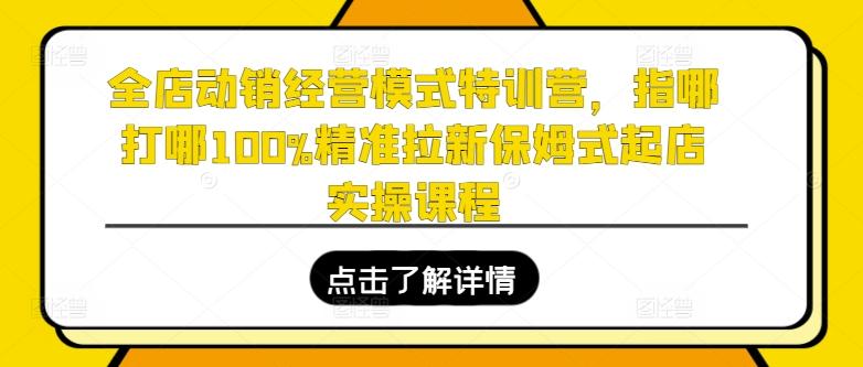 全店动销经营模式特训营，指哪打哪100%精准拉新保姆式起店实操课程-创薯资源